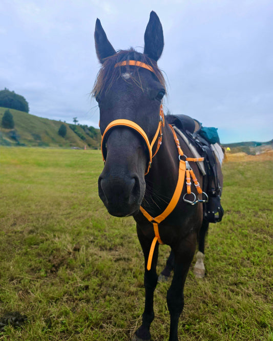 Western Breastcollar - Design your own