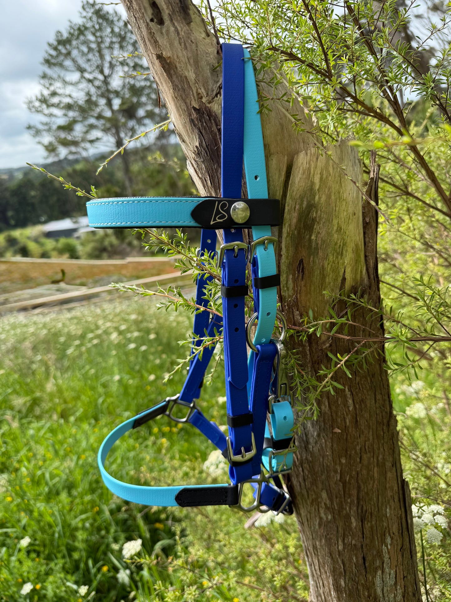 LS Deux Endurance 2 Part Bridle