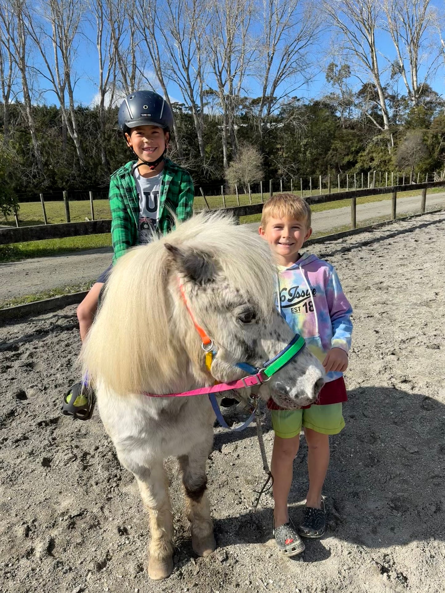 LS Scribbles Bitless Sidepull Halter Bridle