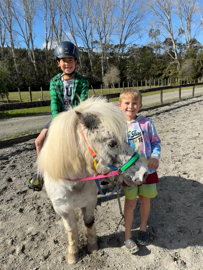 LS Scribbles Bitless Sidepull Halter Bridle