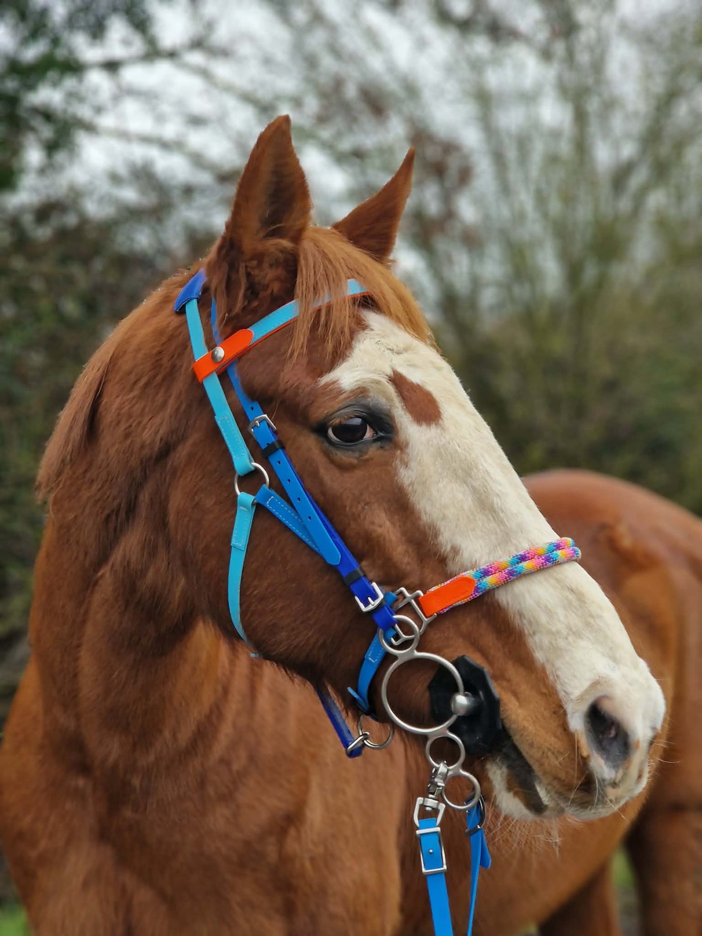 LS Crossover©️ Deux Endurance 2-Part Bridle with Rope Noseband