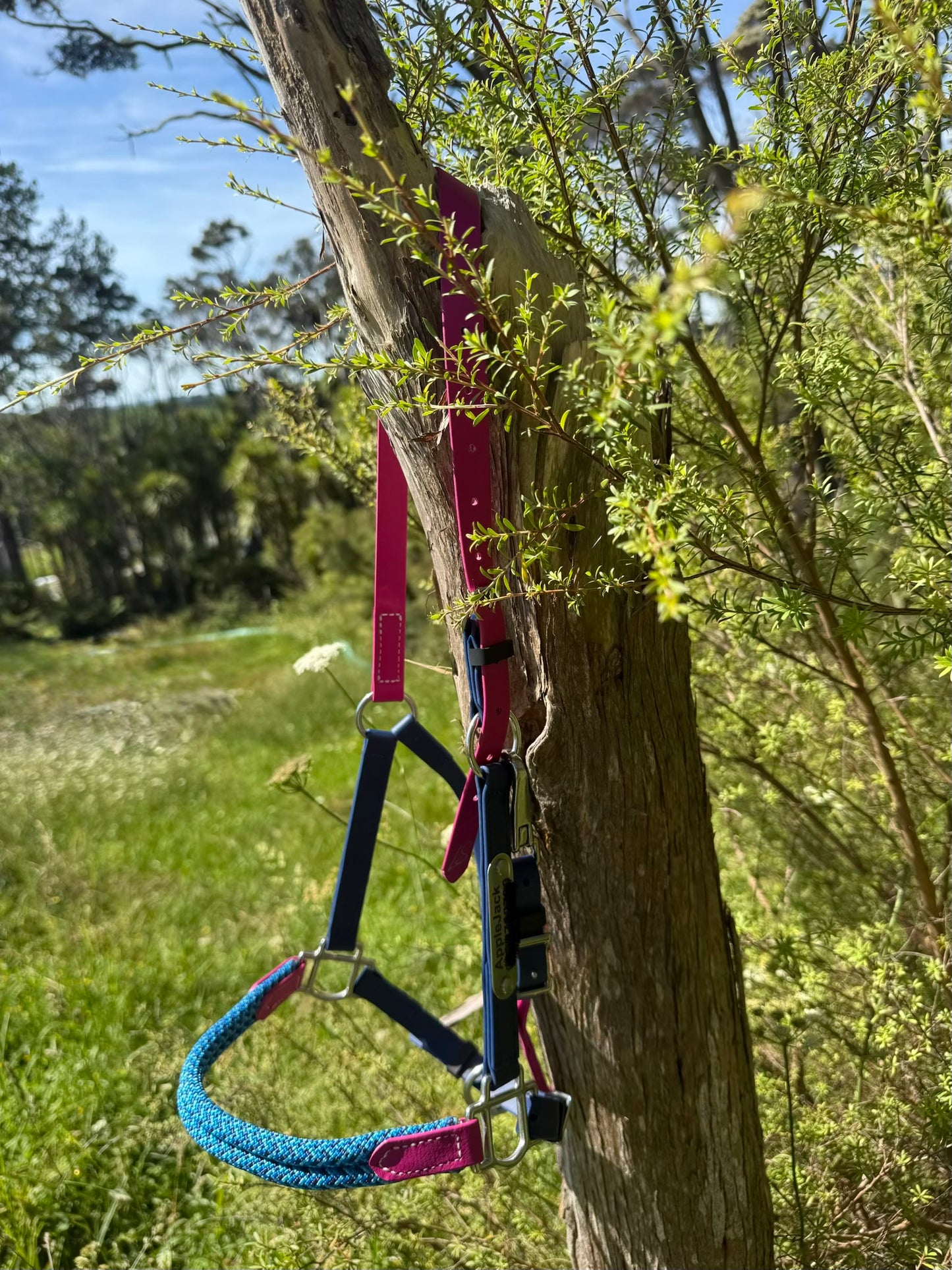 LS Crossover©️ Deux Endurance 2-Part Bridle with Rope Noseband