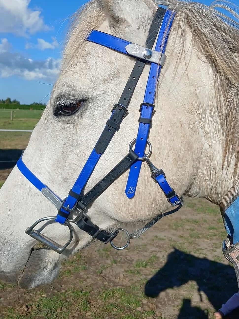 LS Deux Endurance 2 Part Bridle