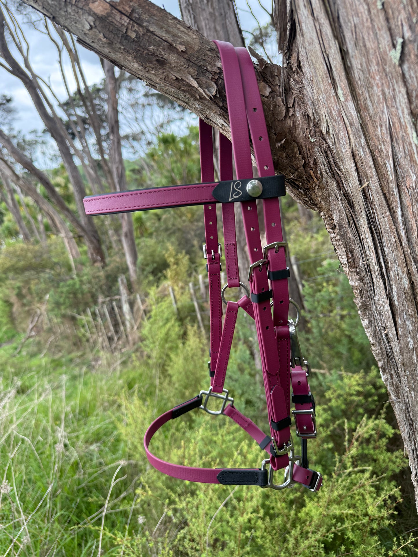 LS Deux Endurance 2 Part Bridle