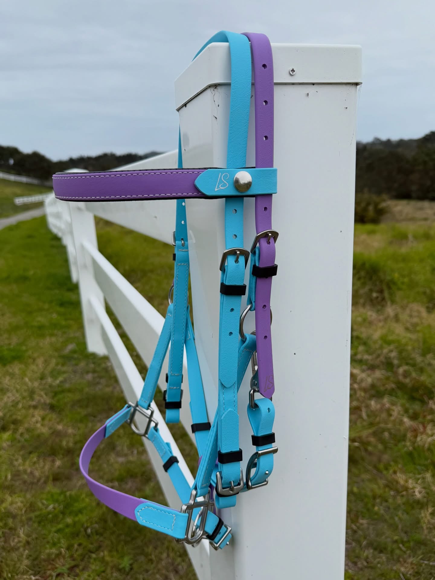 LS Endurance 2 Part Bridle