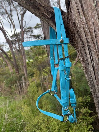 LS Deux Endurance 2 Part Bridle