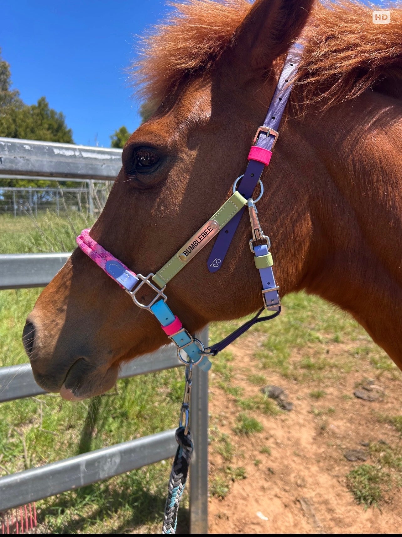 LS Crossover©️ Deux Endurance 2-Part Bridle with Rope Noseband