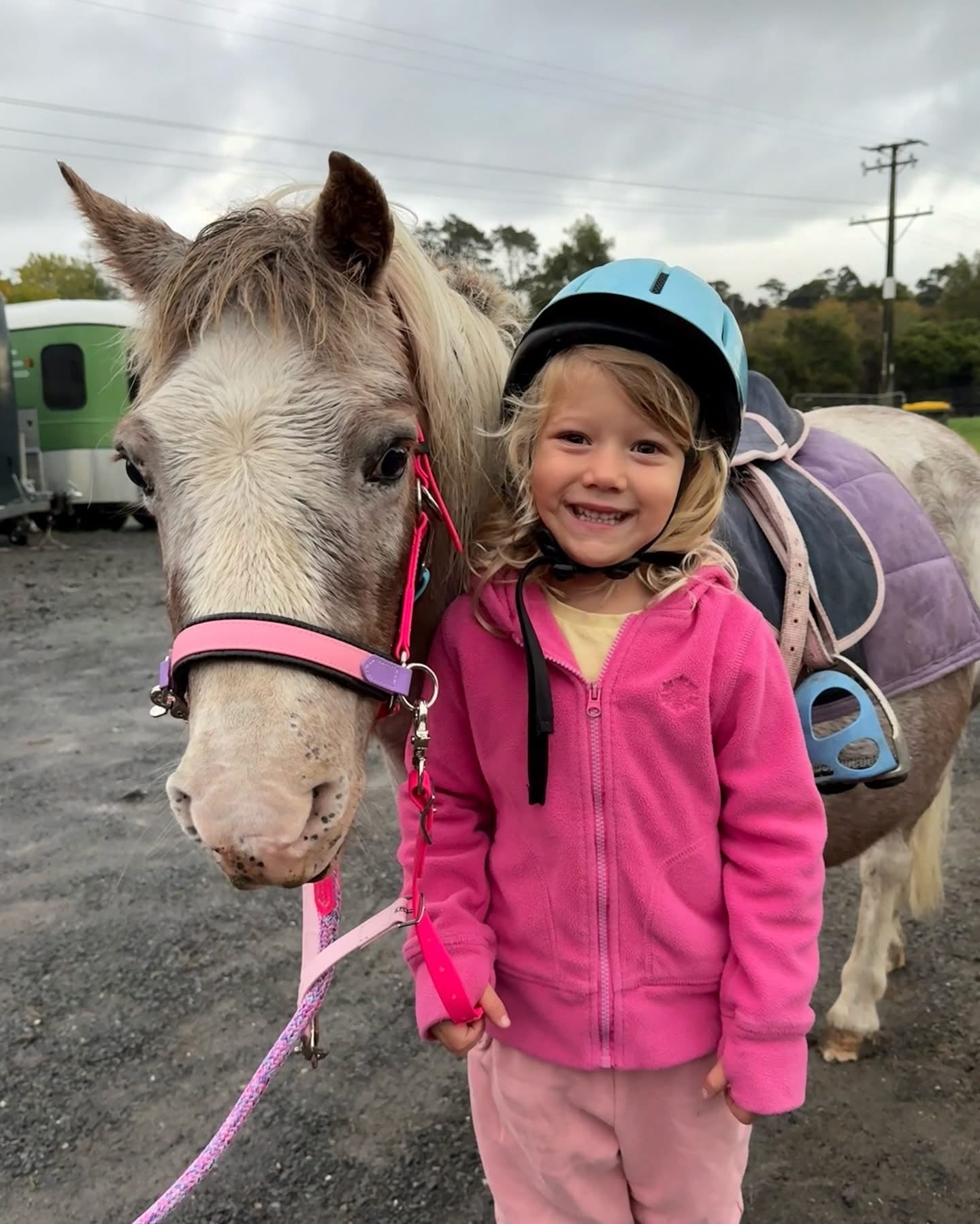 LS Scribbles Bitless Sidepull Halter Bridle