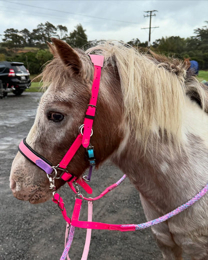 LS Scribbles Bitless Sidepull Halter Bridle