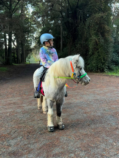 LS Scribbles Bitless Sidepull Halter Bridle