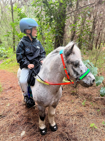 LS Scribbles Bitless Sidepull Halter Bridle