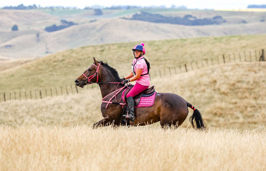 Breastplates & Martingales