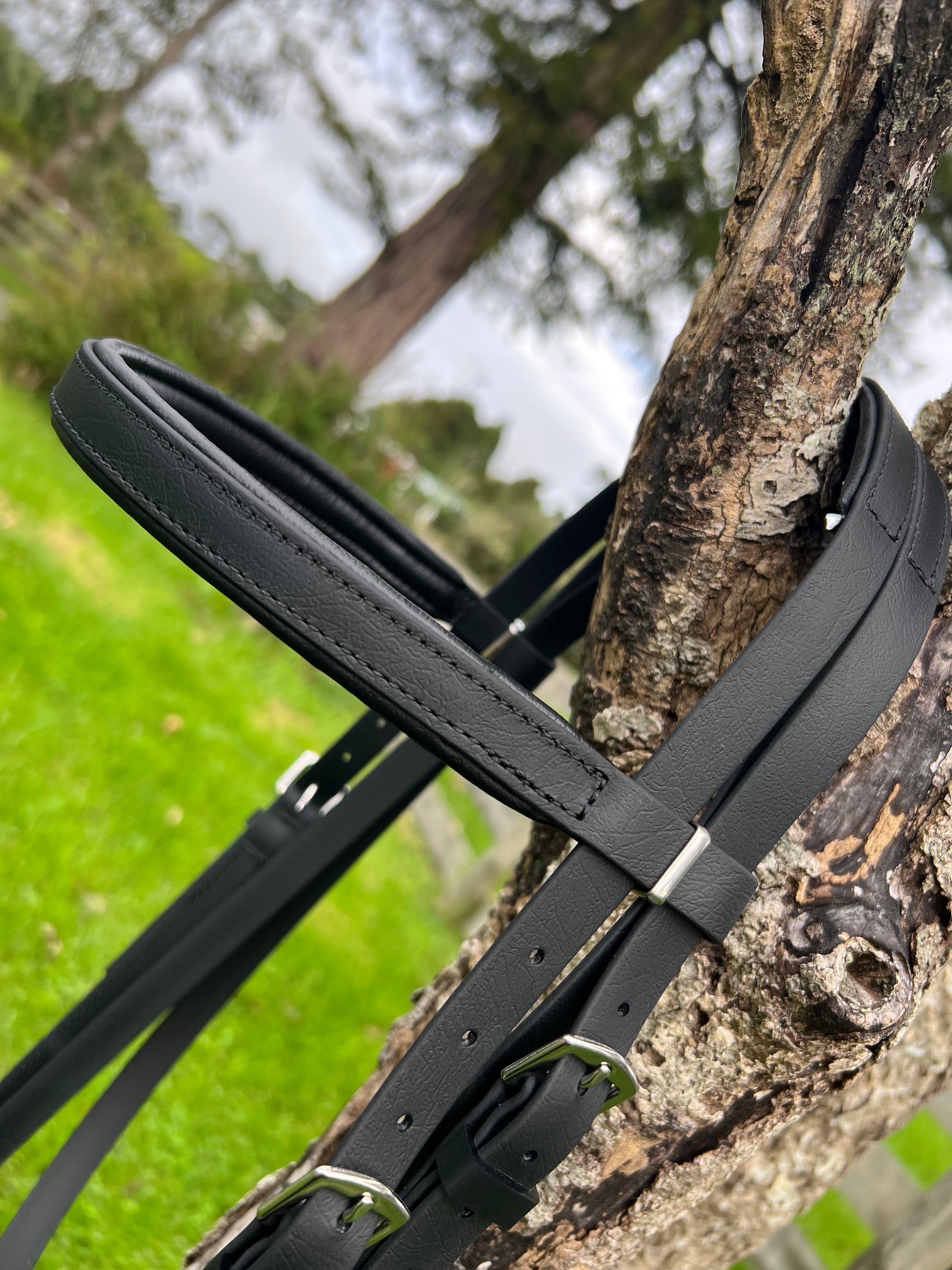 PFIFF Basicline Bridle, Black/Red Pony