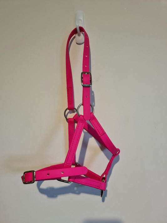 Cabestro de paddock en miniatura