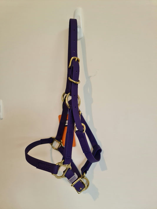The LS Equestrian's LS Halter in Violet, highlighted by gold buckles and metal rings, is elegantly displayed on a white wall hook. Its purple shade offers a touch of style and sophistication.