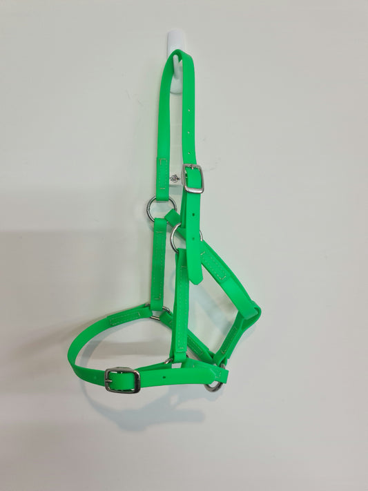 Cabestro Paddock Miniatura - Verde