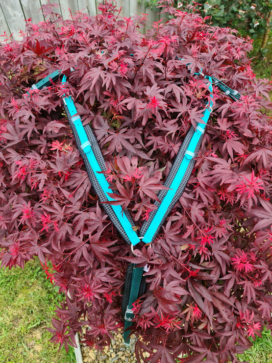 Padded Breastplate - Hunter Green & Teal