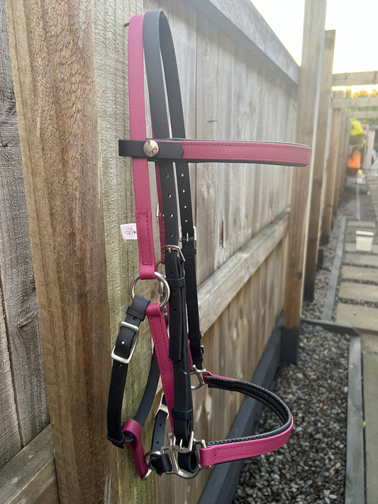 LS Deux Bridle - Padded Maroon & Black