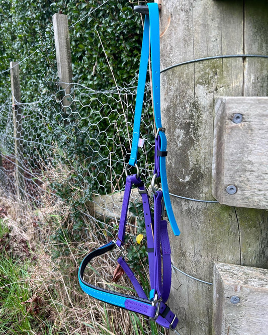 LS Deux Bridle Padded - Lagune & Purple