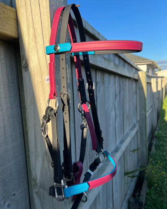 A colorful LS Equestrian LS Deux bridle hangs on a wooden fence under clear blue skies. The BioThane bridle showcases vibrant maroon, Lagune blue, and black straps with shiny metal hardware, casting a shadow on the sunlit fence. Grass and a fence line are visible in the background.