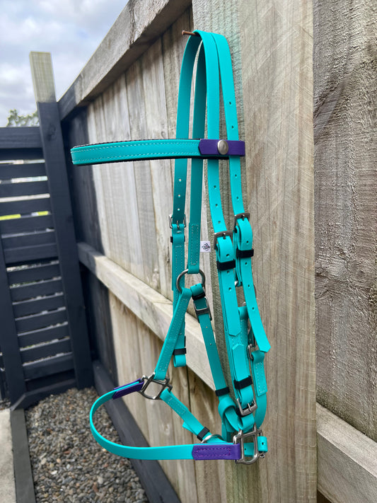 LS Deux Bridle - Teal & purple