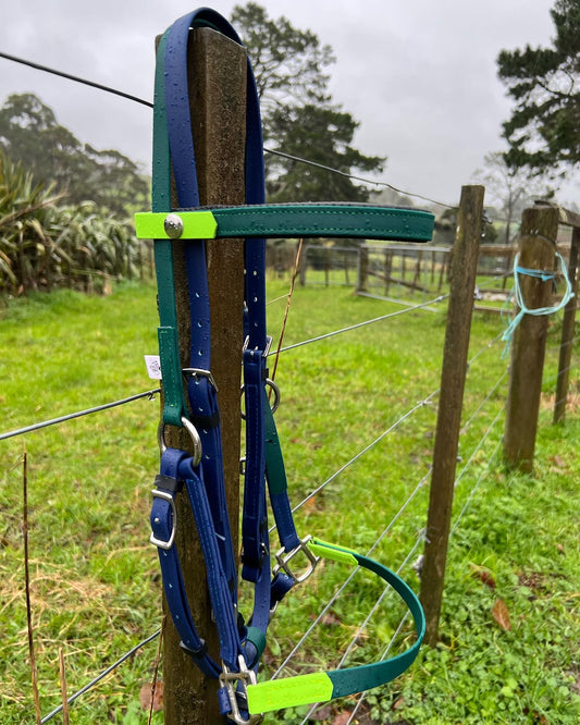 LS Deux Bridle - Navy, Hunter Green & Apple Green