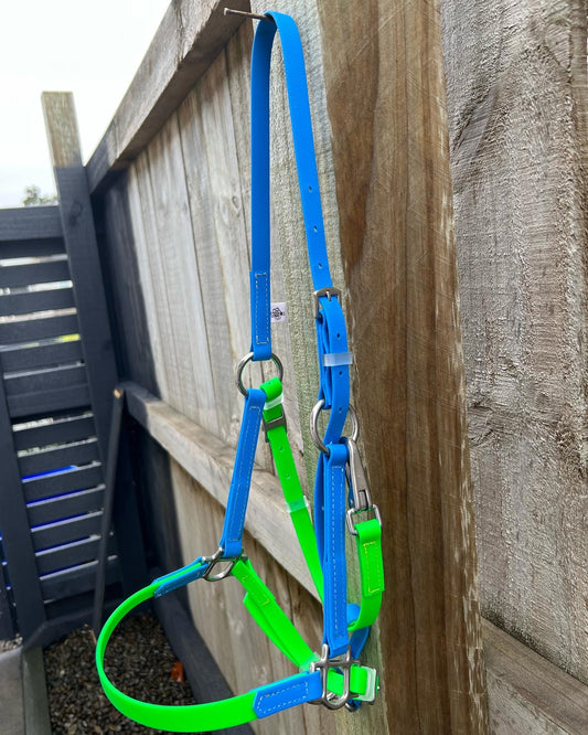 Ls Deux Bridle - Black, Fluro Green & Cyan Blue
