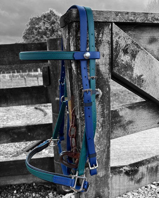 A LS Deux Bridle in padded hunter green and navy blue from LS Equestrian hangs on a rustic wooden fence against a black-and-white background, creating a striking contrast. The cloudy sky and rural landscape in the distance hint at the endurance required for such rugged beauty.