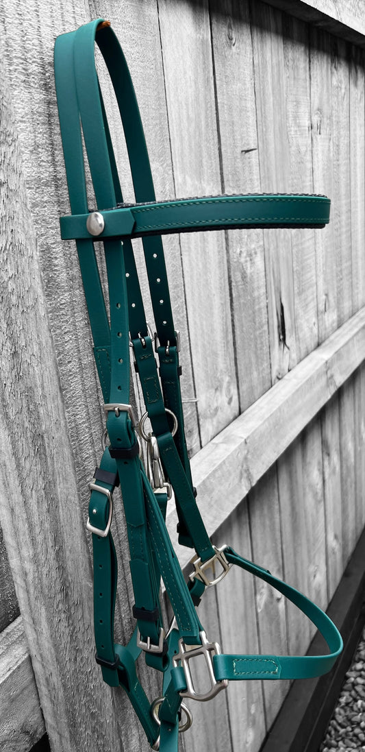 LS Deux Bridle - Hunter Green