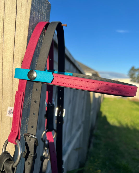 A vibrant LS Deux Bridle from LS Equestrian, featuring maroon, lagune blue, and black straps, hangs on a wooden fence against a backdrop of clear blue sky and lush green grass.