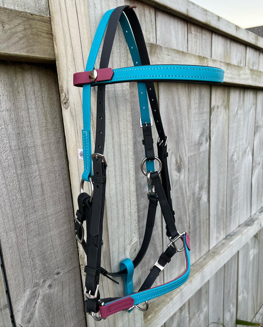 LS Deux Bridle - Lagune Blue, Maroon & Black