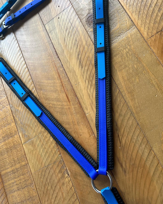 Opgestopte borsplaat - Siaan &amp; Koningsblou