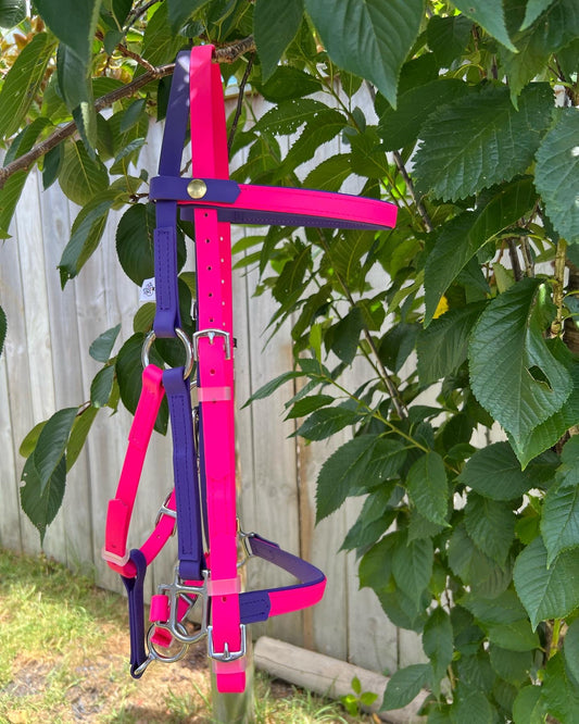 A vibrant pink and purple LS Deux Bridle Double Layered from LS Equestrian is draped over a tree branch, with a wooden fence partially hidden by green leaves as the backdrop. The bright sunlight accentuates the bridle's glossy finish and the tree's lush foliage, making it ideal for endurance riding enthusiasts.