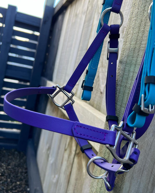 A close-up of a purple BioThane horse halter with silver buckles hanging on a weathered wooden fence captures the spirit of endurance riding. In the background, a Lagune & purple LS Deux Bridle by LS Equestrian is partially visible, as sunlight casts playful shadows on the scene.