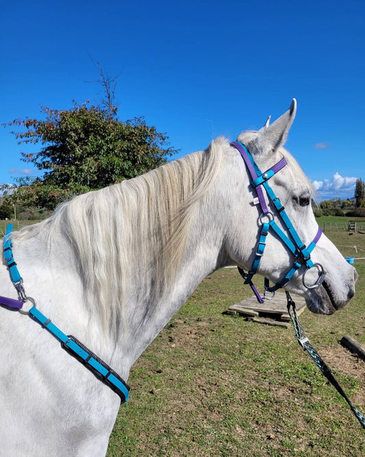 Biothane®️ Endurance 2 Part Bridle, BioThane®️ Endurance Breastplate