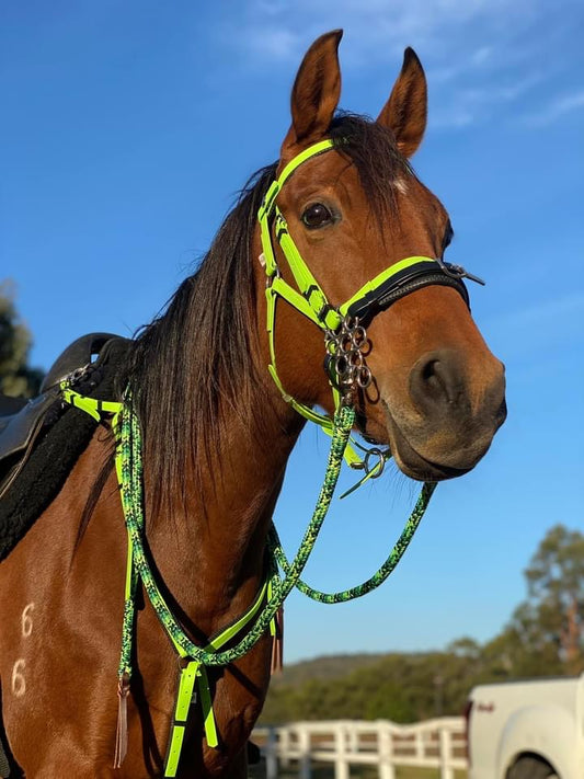 LS Deux Bridle - Apple Green