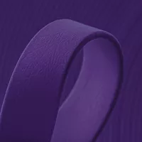 Violet Purple (VI521)